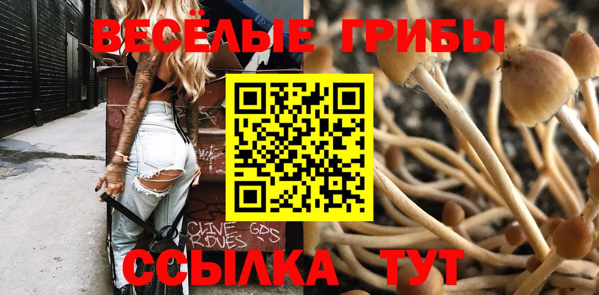 Галлюциногенные грибы Magic Shrooms Заводоуковск